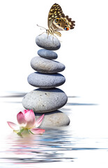 Papillon sur empilement de galets, composition zen avec lotus 