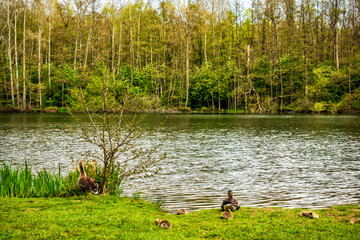Sonntagsausflug an den Weiher der Alten Tongrube in Bonn-Röttgen