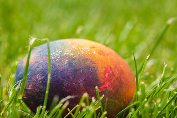 Isolated, Easter, colored egg with a gradient in the green grass.