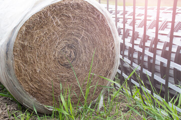 RoRolled hay and plastic geogrid mesh for land transformation landscaping, preparation for plant...