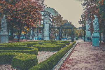 Fototapeta premium autumn in the park