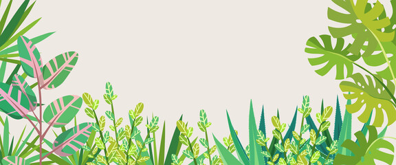 Home garden. Monstera, Dracaena, Ficus, Zamioculcas, Aloe vera. Palm trees and succulents. Cute house plants. Nature. Cartoon illustration. Advertising web banner with empty space for text