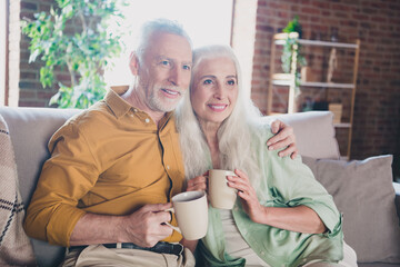 Portrait of attractive affectionate cheerful grey-haired couple sitting on sofa hugging drinking beverage at home brick loft interior house indoor