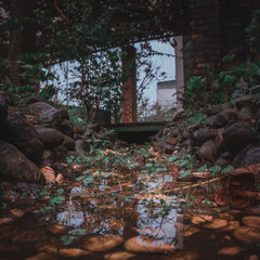 Small river in the house