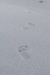 Huellas en la arena humeda de la playa en un día de verano. Footprints in the wet sand of the beach on a summer day