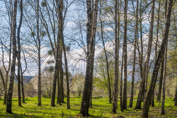 Lviv city spark in the early spring season