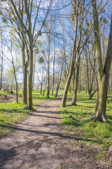 Lviv city spark in the early spring season