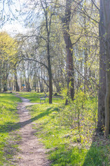 Lviv city spark in the early spring season