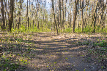 Lviv city spark in the early spring season