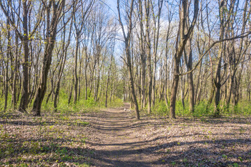 Lviv city spark in the early spring season