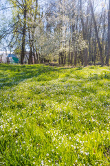 Obraz premium Lviv city spark in the early spring season