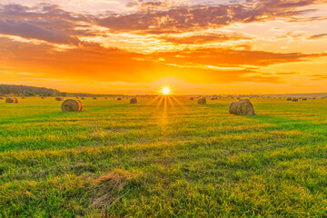 Scenic view at beautiful sunset in a green shiny field in village farm with hay stacks, cloudy sky, golden sun rays, anazing summer valley evening landscape