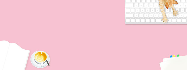 仕事の邪魔をする子猫、パソコンのキーボードと文房具