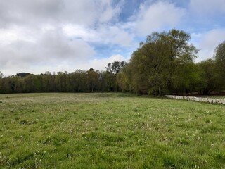 Panorama de una pradera gallega en los primeros d&iacute;as de primavera