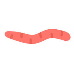 worm