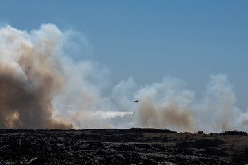 Fototapeta na wymiar Forest fire in nature reserve near Reykjavik