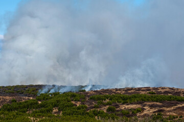 Forest fire in nature reserve near Reykjavik