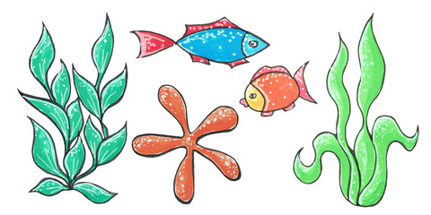 Marine set with fish and algae on a white background. Decorative stylization, hand-drawn with markers.