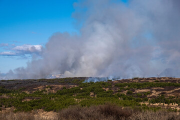 Fototapeta na wymiar Forest fire in nature reserve near Reykjavik