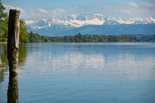 Greifensee mit Alpenpanorama