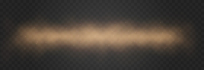 Vector sandy dust cloud. Clouds with dust particles. Sandstorm on an isolated transparent background. PNG.	