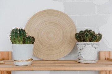 potted houseplants on a wooden shelf against a white brick wall