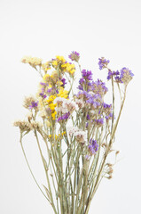 colorful dried field flowers on white background close up