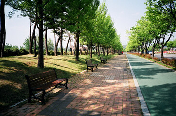 경관, 조경, 환경, 거리