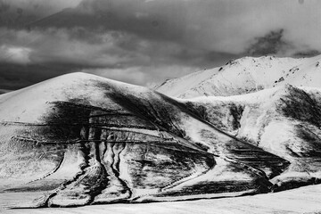 black and white image
