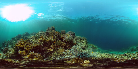 Fototapeta na wymiar Tropical fishes and coral reef underwater. Hard and soft corals, underwater landscape. Philippines. Virtual Reality 360.