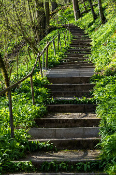 Wanderweg mit Stufen bei Dörzbach © Eberhard