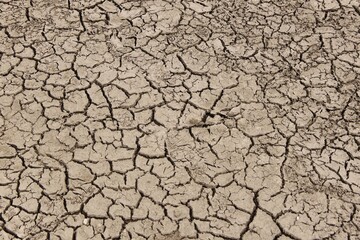 Cracked soil caused by drought