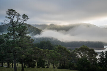fog in the mountains