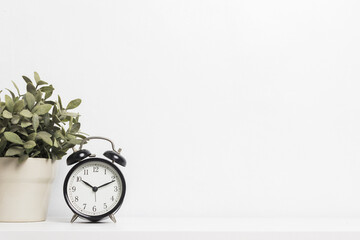 A clock and plant on the table