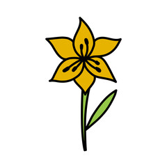 Yellow lily. Doodle flower with stem and leaf. Vector hand drawn color sketch.