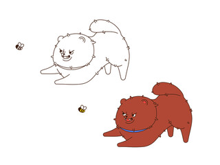 A very cute pomeranian hunts a bumblebee. Isolated vector image in eps format. There are two options in the document: in color and without filling. All layers with names.
