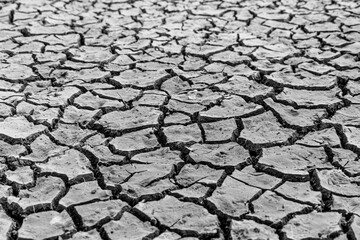 Mudflat cracked desert barren surface for natural background, layer, wallpaper, photo effect. Black and White Monochrome image of drought effects of global warming