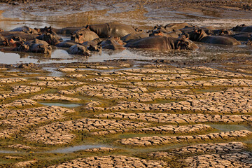 Fototapeta premium Dry lake, Mana Pools NP, Zimbabwe. Hot season in Africa. Dry summer landscape with blue sky and white clouds, White grey muddy clay lake. Summer without water. Traveling in hot Africa nature.