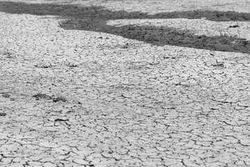 Mudflat cracked desert barren surface for natural background, layer, wallpaper, photo effect. Black and White Monochrome image of drought effects of global warming
