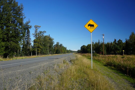 Moose crossing yellow diamond warning road sign