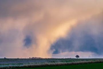 Fotobehang fire in the storm © RafalDlugosz