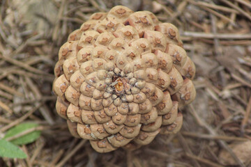 Nature landscapes in Kırşehir welcoming spring