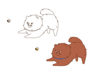 A very cute pomeranian hunts a bumblebee. Isolated illustration in jpeg format. There are two options in the document: in color and without. 