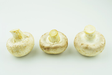 mushrooms mushrooms on a white isolated background close up