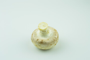 mushrooms mushrooms on a white isolated background close up
