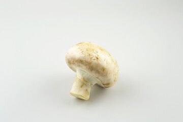 mushrooms mushrooms on a white isolated background close up