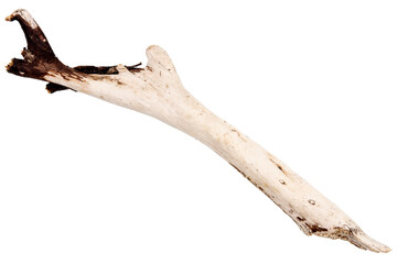 Piece of driftwood isolated on white