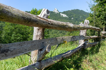 A path in the mountains covered with forests and meadows with wooden fences in the Spanish region of Asturias, Caleao village, in the Redes Natural Park, Biosphere Reserve since 2001