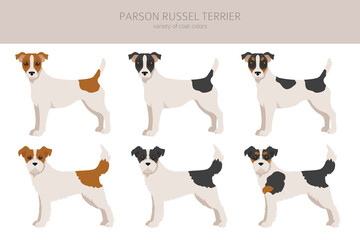 Parson Russel terrier clipart. Different poses, coat colors set