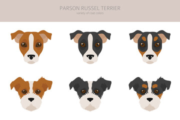 Parson Russel terrier clipart. Different poses, coat colors set